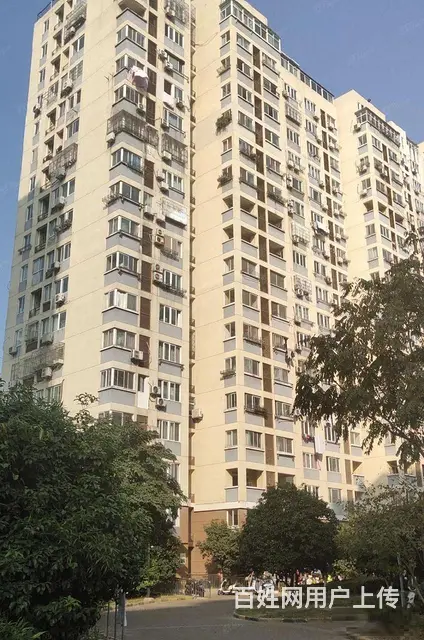 桂花园，新房毛坯，教科院，清中，多套(面积：96+103+1 - 图片 10
