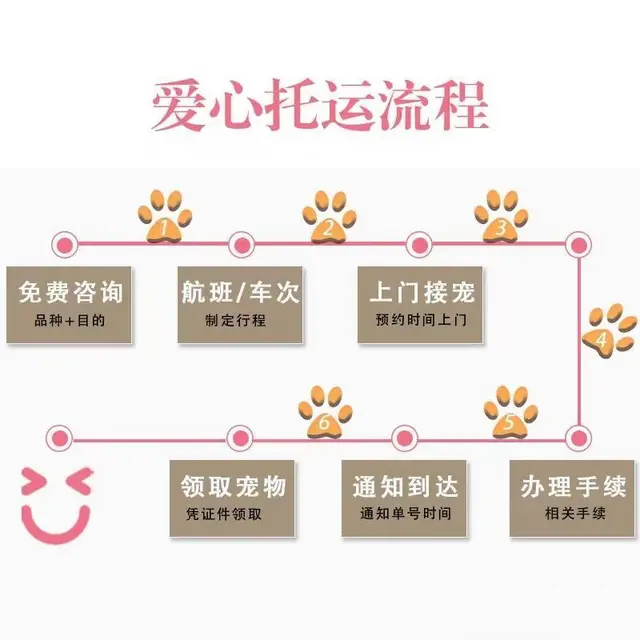 辽阳宠物托运 （猫狗活体运输）宠物快递至全国 - 图片 2