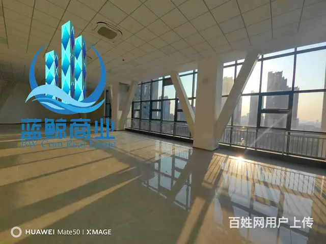金开区软件园1000平整层办公楼出租 - 图片 7