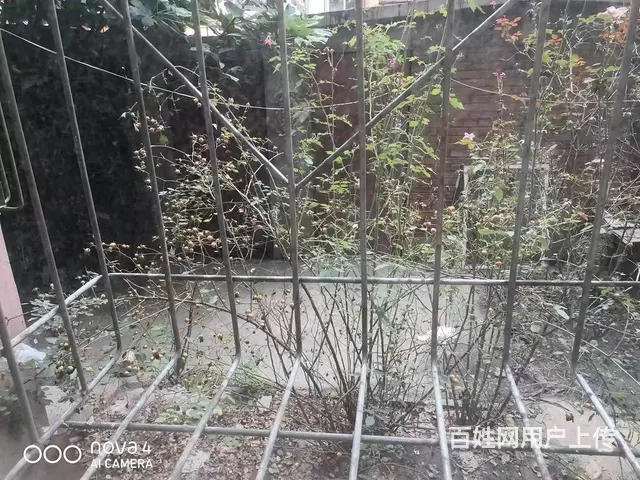 邢钢东区一层带院54万  普通住宅 简单装修 - 图片 2