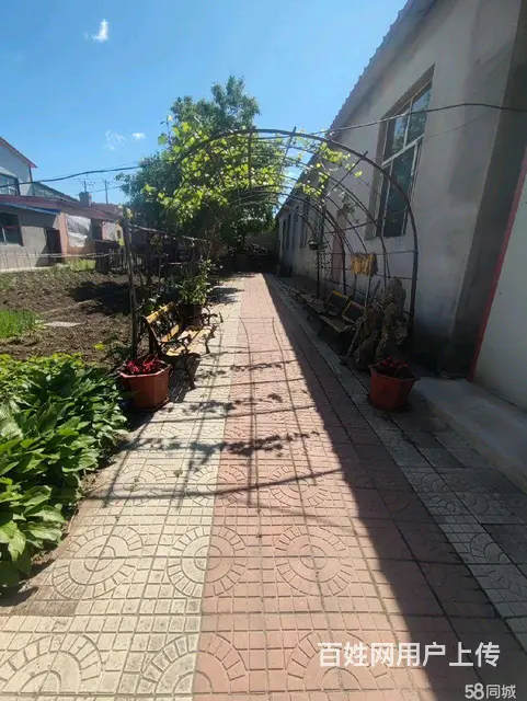 香坊区幸福镇靠河村独栋办公楼库房出租 - 图片 3
