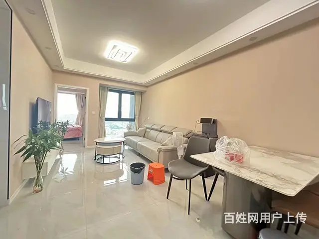 自住精装修 - 图片 2