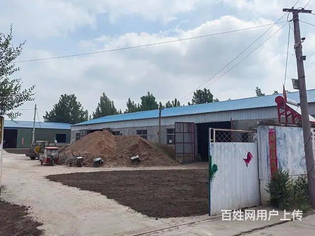 临沭县青云镇厂房出租 - 图片 3