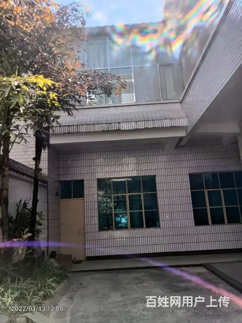 所有人都在观望的时候,你敢出手吗 - 图片 6
