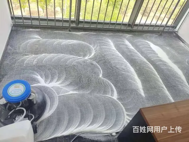 苏州专业地毯清洗 羊毛纤维地毯清洗 地毯除螨吸尘 - 图片 6