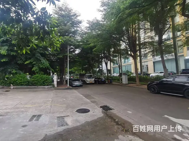 （51旺铺推荐）海垦路300平办公室招租 - 图片 2