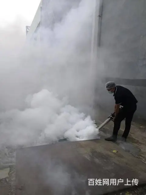 厦门地区杀蟑灭鼠，免费上门查勘，专业高效无毒 - 图片 2