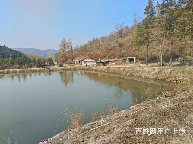 天然氧吧 - 图片 1