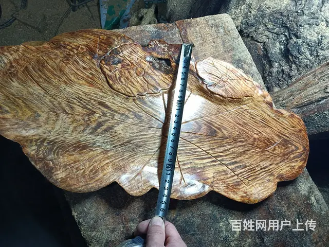 【搞定了！】茶盘干泡北沉香琥珀木 - 图片 2