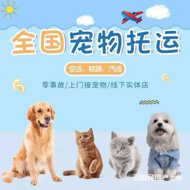 推荐） 秦皇岛宠物托运到全国）（猫狗）邮寄快递（宠物活体运输 - 图片 3