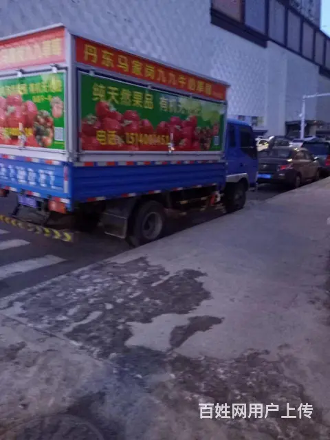 金杯 平板车 国3 - 图片 8