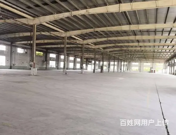 周市8500平米标准单层厂房出租 可分租 - 图片