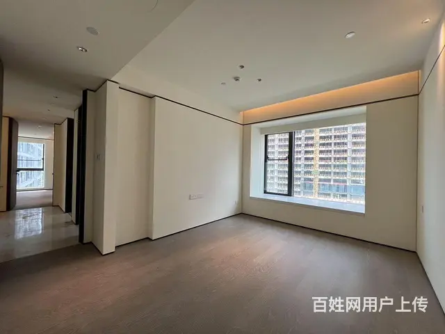 长江中心 270度看江 武昌豪宅代表 4房3卫 大 - 图片 6