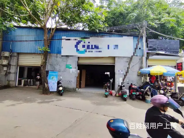 （51旺铺推荐）牛车横路310平出租 - 图片 8