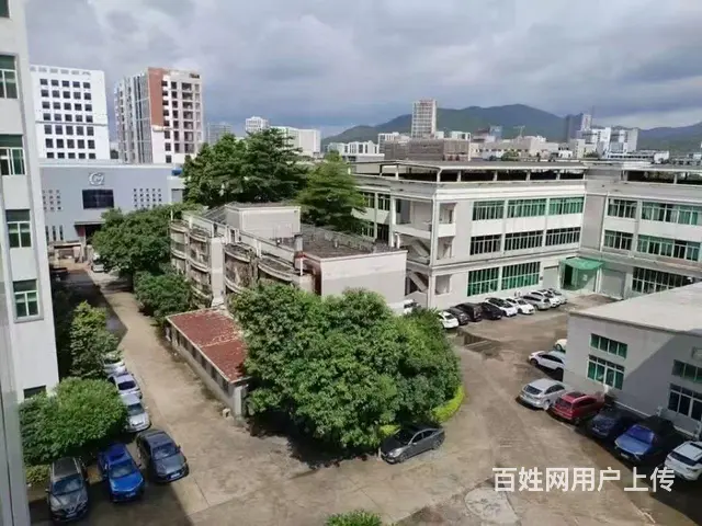 珠海高新区厂房建筑面积31323平方，9500万，先到先得， - 图片 3
