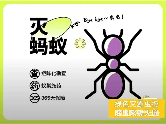 除虫除百虫：灭蟑螂、四害防治、防鼠灭鼠、灭臭虫 - 图片 6