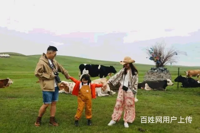 呼伦贝巴尔虎大草原旅游自由行攻略，满洲里包车价格 - 图片 3