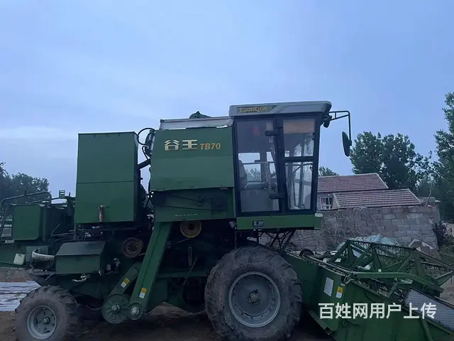 16年谷王70 - 图片 1