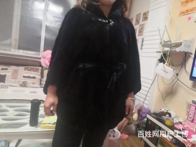 貂皮 - 图片 3