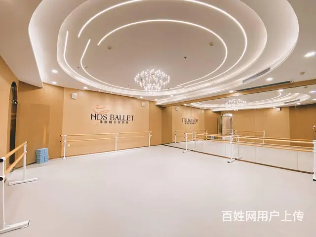 珠海舞蹈芭蕾舞成人舞蹈芭蕾舞培训 - 图片 11