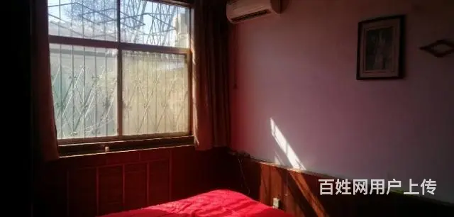 鹤壁东杨工业区独院出租 - 图片 10