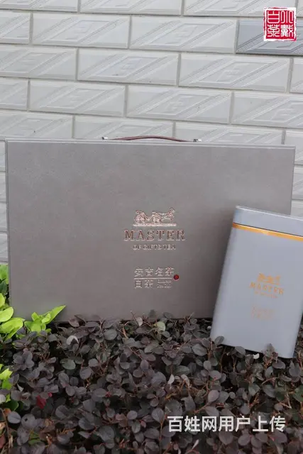安吉白茶 明前精品茶 小戴白茶 原产地直销 - 图片 6