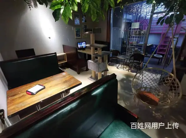 （速转店）急转 精装修独栋别墅 影咖 猫咖 可专项做其他 - 图片 8