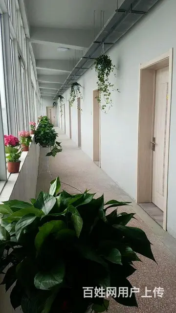 吾悦广场旁，单身公寓一室一厅出租。 - 图片 4
