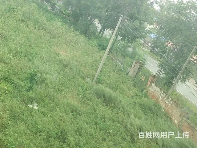 转让土地及商服楼 - 图片 3