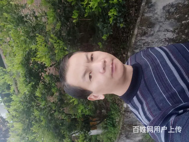 征婚 - 图片 3