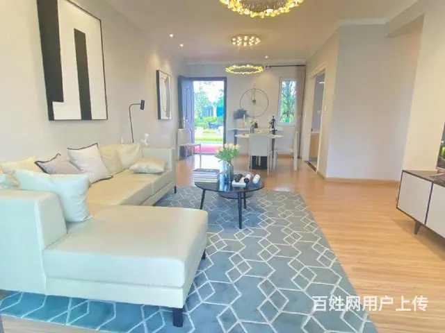 湖景高端准现房！靠近高铁站（车位）s4轻轨始发站 - 图片 8