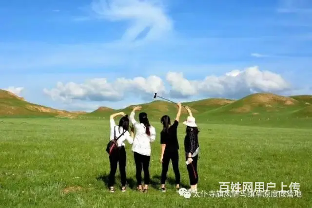 近距离观察立属于天地之间，傲立于大自然的勇者——狼 - 图片 7