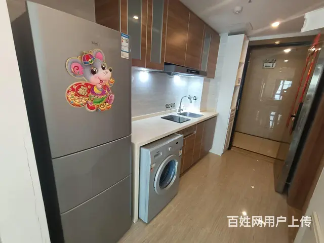 房东自租，恒大绿洲，蒸湘区，一室精装公寓。家具家电齐全拎入住 - 图片 6