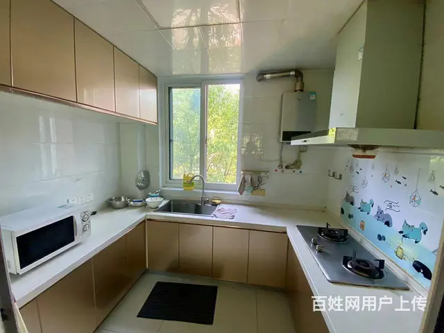 金域华庭二室电梯暖气洋房 - 图片 5