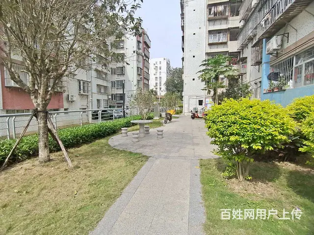 柠溪无税159万元青竹花园一期精装修88平 - 图片 12