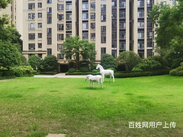 丁桥私房急售！精装修318.00万元龙湖名景台(公寓住宅)多 - 图片 11