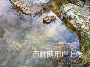 五大连池旅游包车15046980000 - 图片 3
