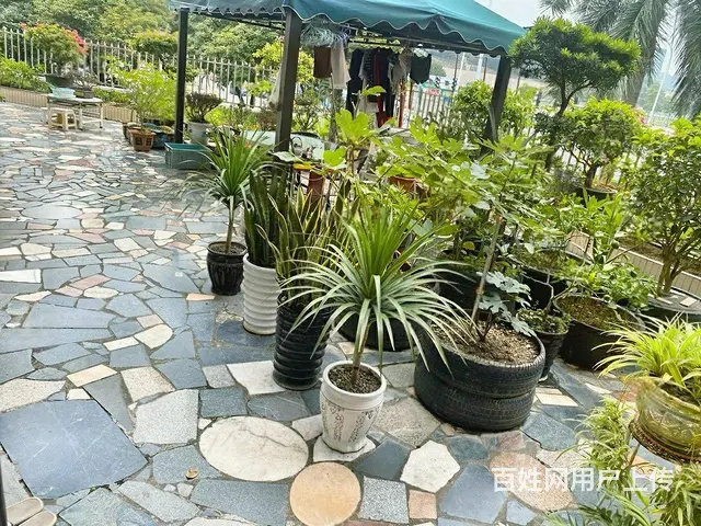 富华广场2楼 带大平台 看房方便 - 图片 8