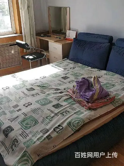 府畔花园 普通住宅2厅 精装修 - 图片 9