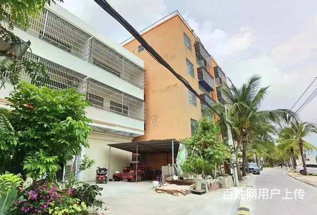 （51旺铺推荐）槟榔河村660平整栋出租或分租 - 图片 6