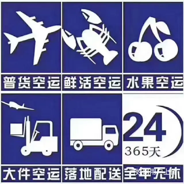 成都欣诚宠物托运公司 全国当日达 - 图片 6