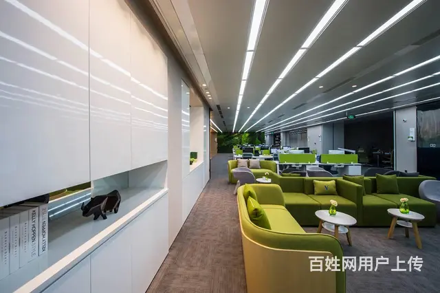 当办公空间邂逅绿植：重塑工作环境的美学与功能 - 图片 3