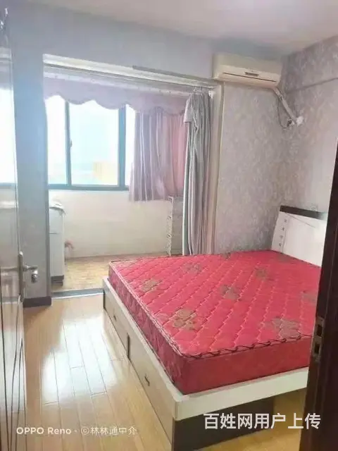 智华大厦 普通住宅1厅 中等装修 - 图片 3