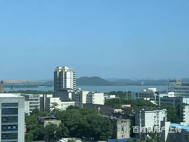 东湖春树里 岳家嘴地铁 接待猛火灶 中北路 德成国 - 图片 9
