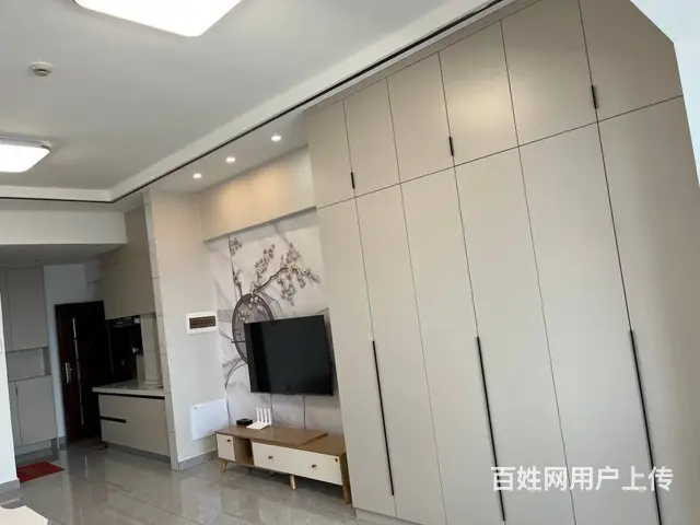 新天地 公寓1厅 精装修 - 图片 5