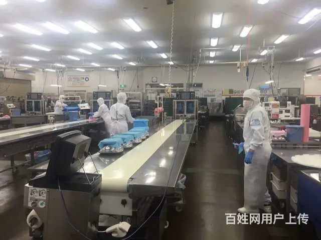 餐厅厨师出国，澳大利亚工资高，月薪3万保底，全国招代理 - 图片