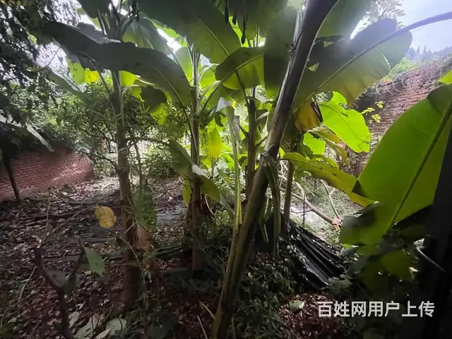 保利国际城莱茵庄园235㎡5室2厅4卫3阳台毛坯东 - 图片 1