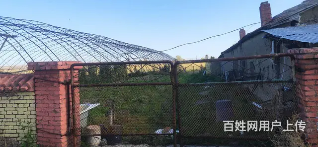 出售平房大院 - 图片 3
