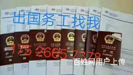 高新雇主直聘/普工/电工/木工等/出国务工 - 图片 2