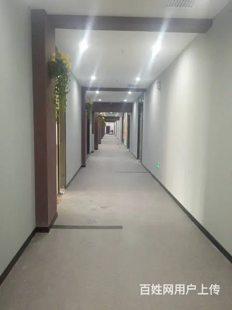 近地铁5号线 单层厂房 二楼仓库办公 面积好分割 - 图片 2